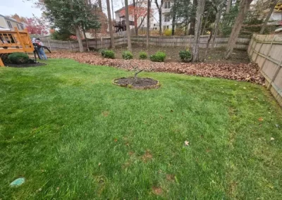 Affordable Lawn Mowing