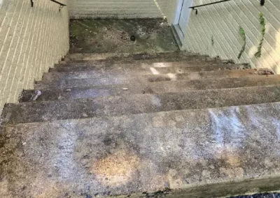 Dependable Landscape Service Provider