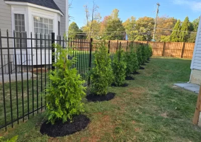 Landscaping Contractor