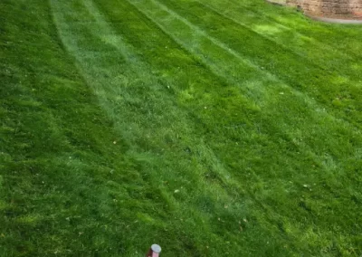 Lawn Fertilizing Service